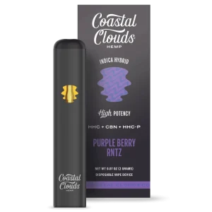 Purple Berry Rntz